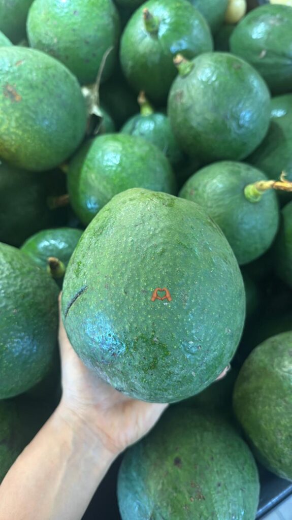 palta