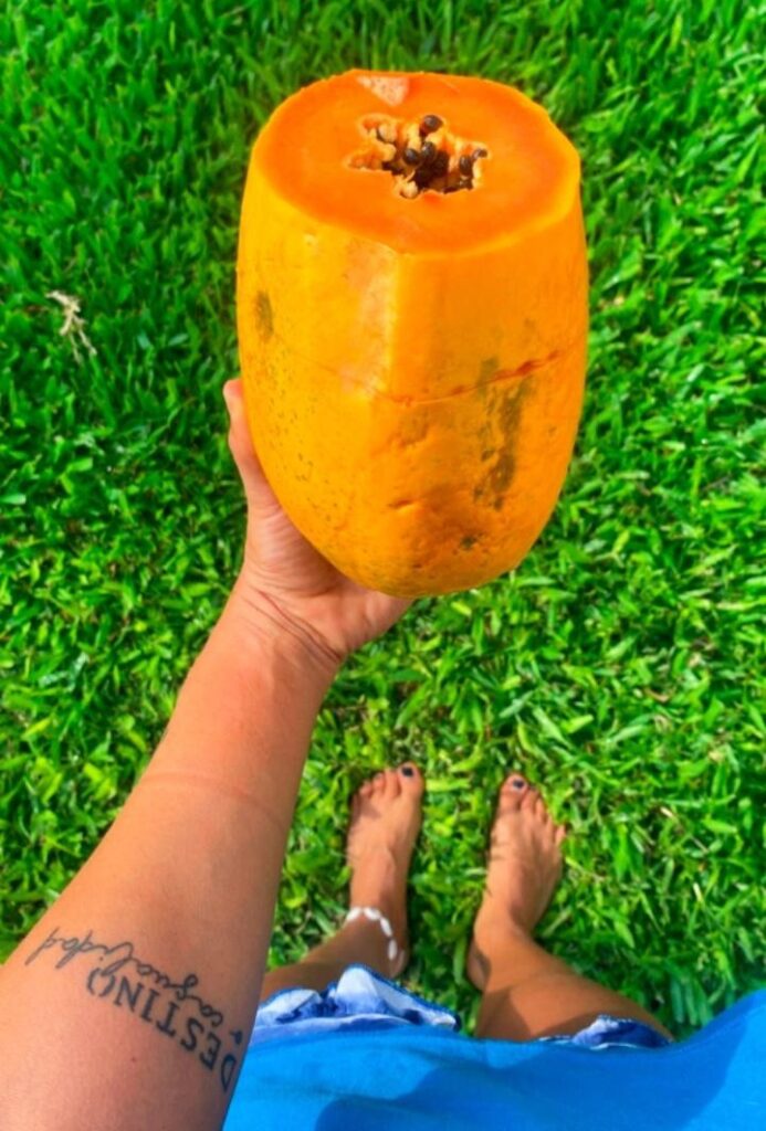 papaya